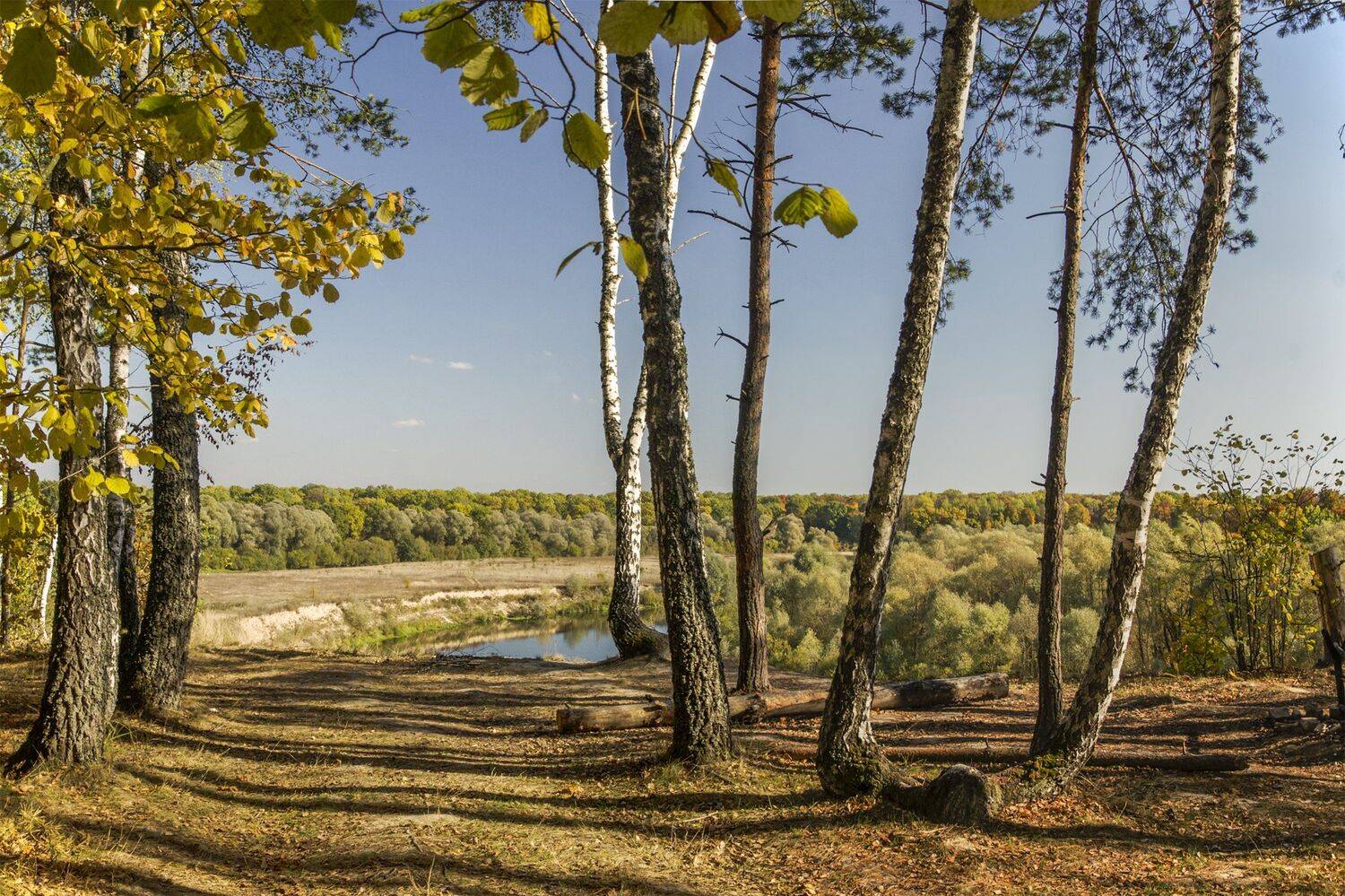 nevant60, пейзаж, красота, природа, Александр Березуцкий