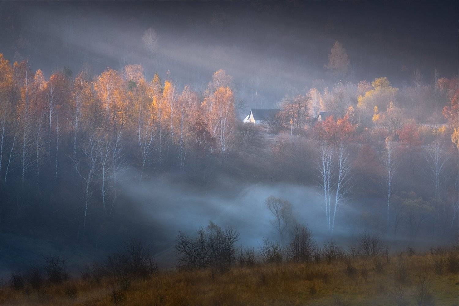 , Алексей Богорянов