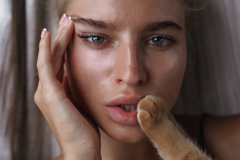 CAT фото превью