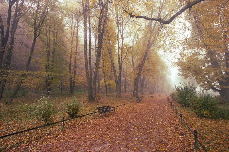 Fall фото превью