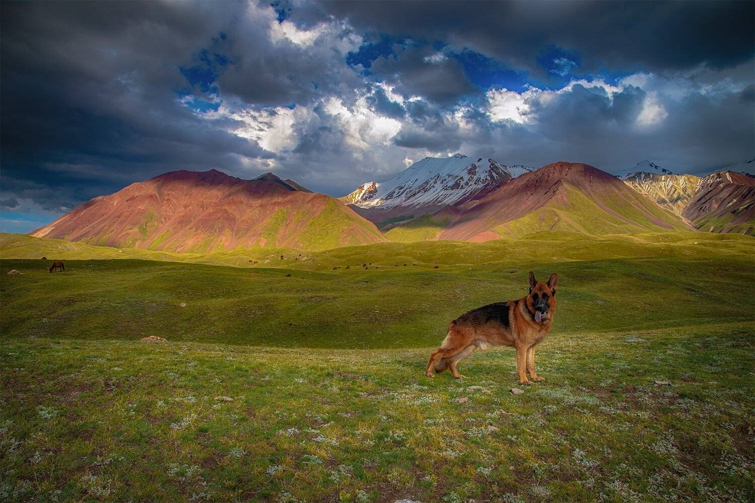 кыргызстан, горы, памиро-алай, Элина Магалимова