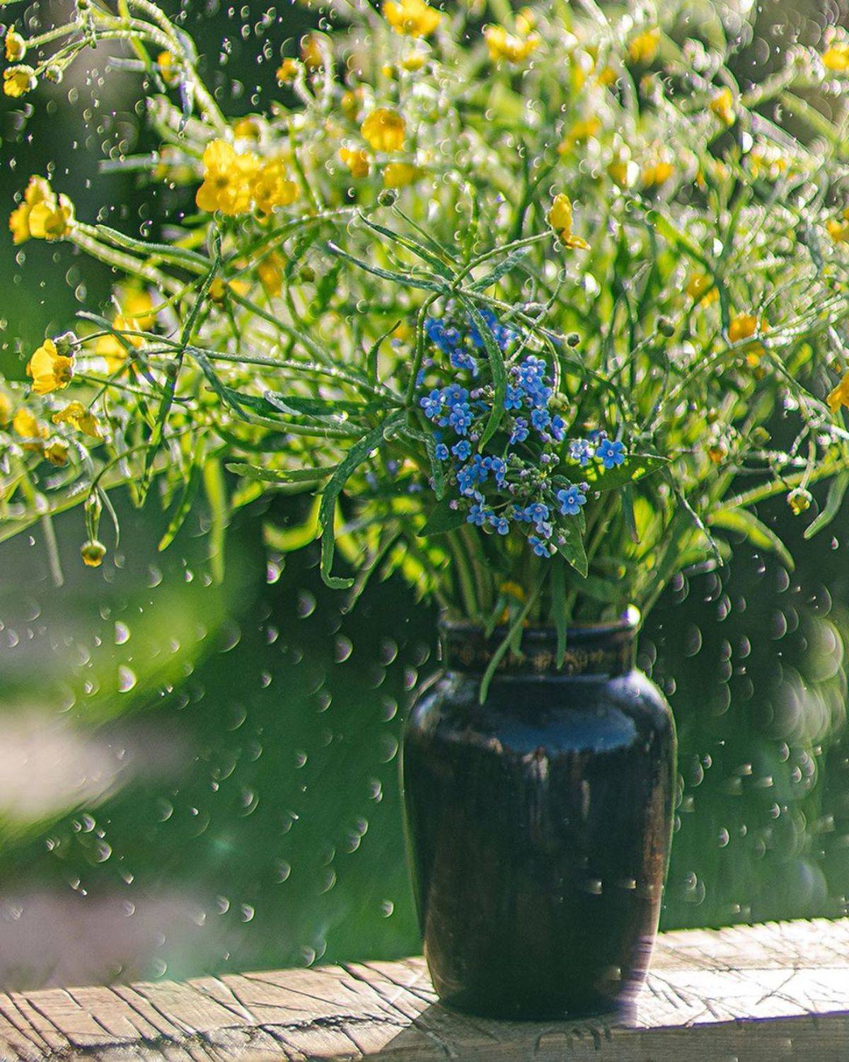 букет, цветы, желтый зеленый, свет, Анастасия Зубкова