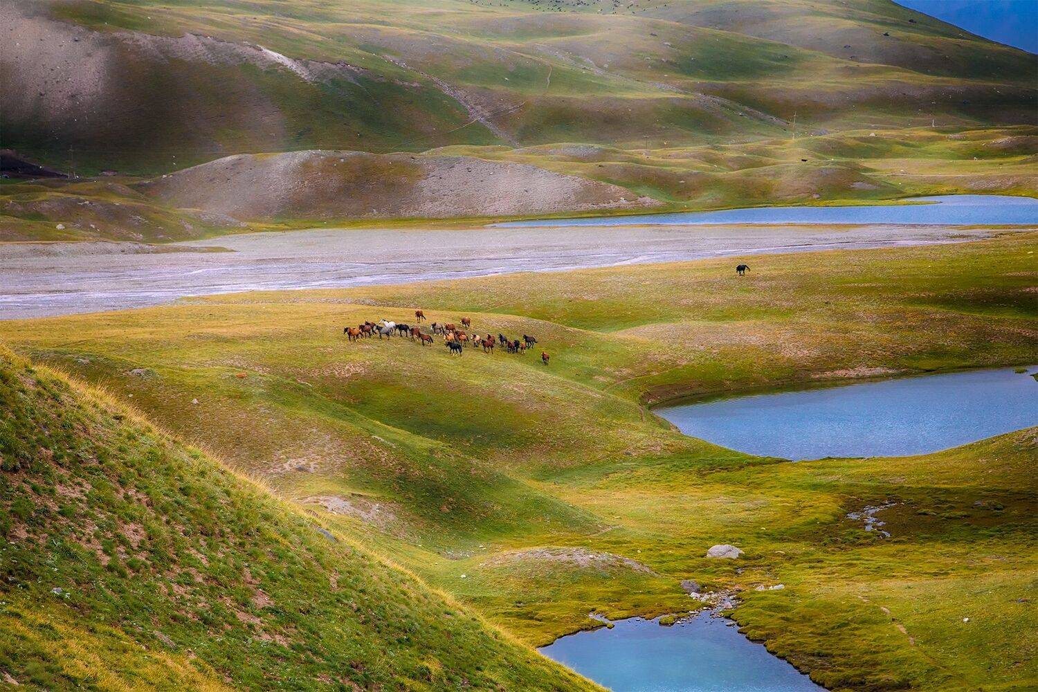 кыргызстан, горы, памиро-алай, Элина Магалимова
