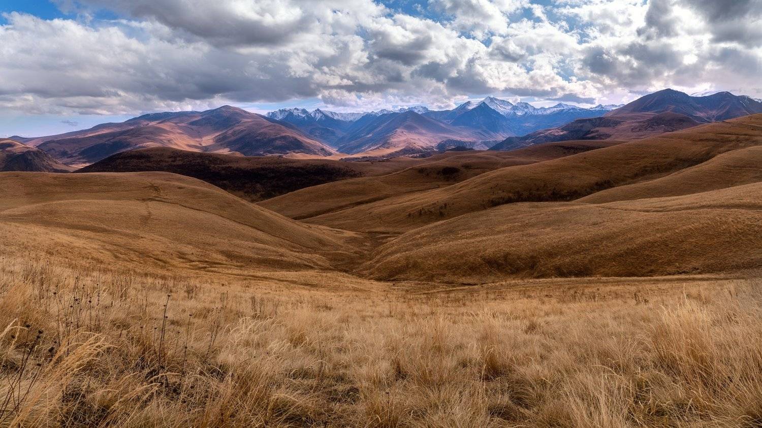 , Юлия Шумляева