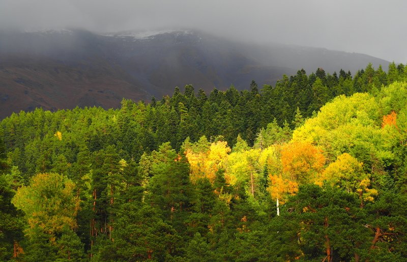 Золото Архыза фото превью