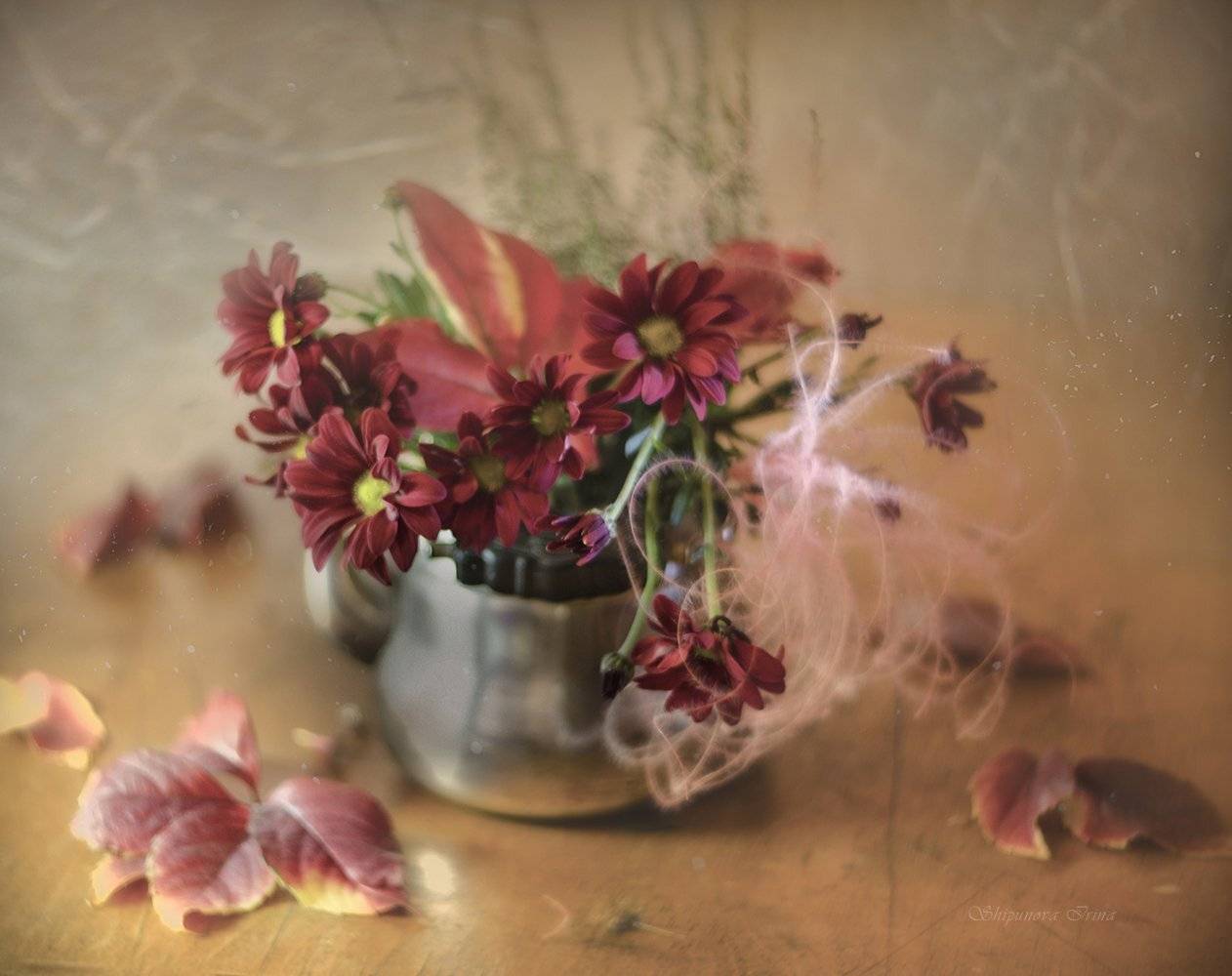 , Шипунова Ирина