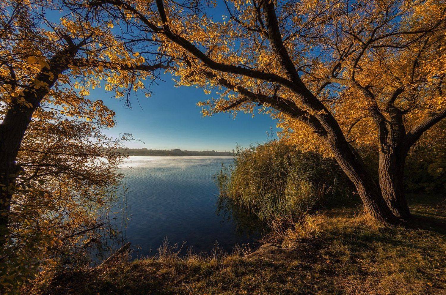 , Игорь Мелекесцев