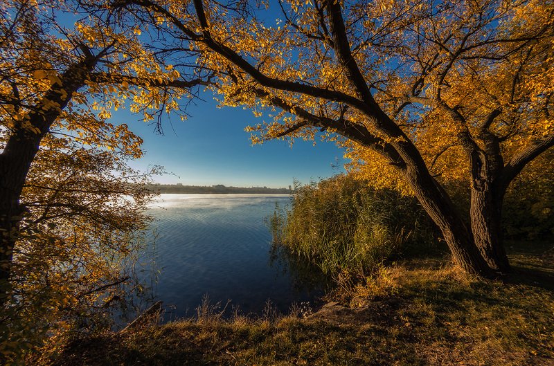 Октябрь. У реки. фото превью