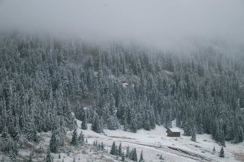 #nature, #туман, #лес, #oсень, #украина, #карпаты, #пейзаж, #закат, #туман, #солнце, #свет, #mountain range, #mountains, #туризм, #лес, #nature, #природа, *** фото превью