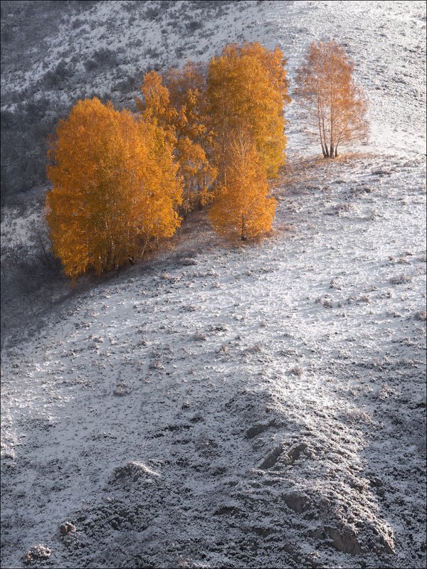 Осеннее первоснежье .. фото превью