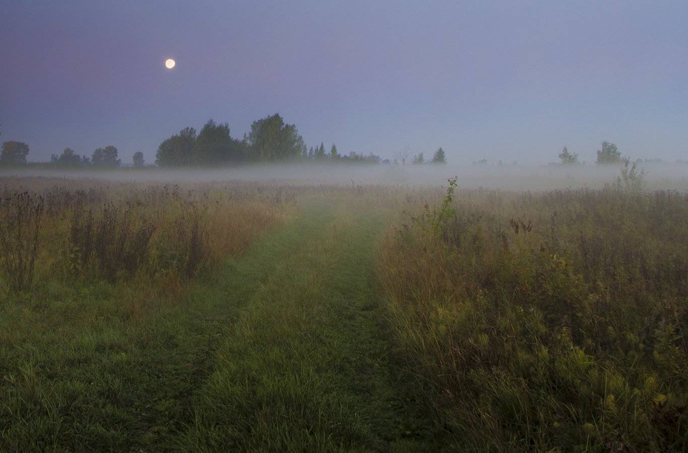 , Елена Рубинская