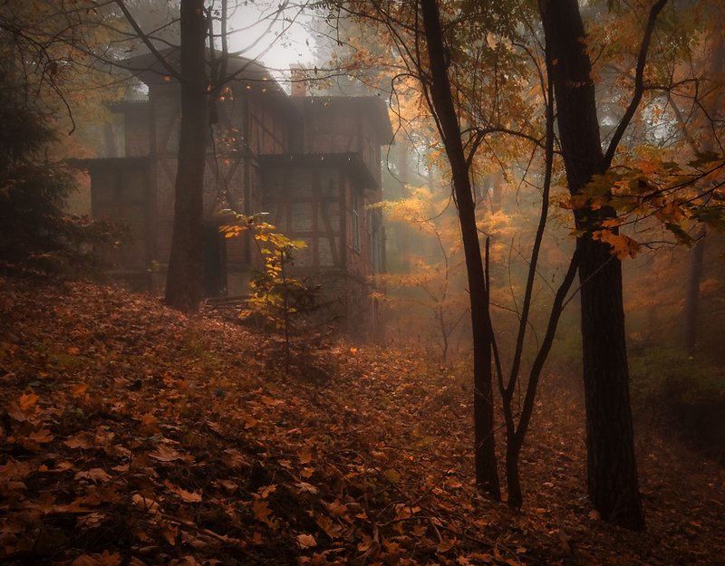 lonely house... фото превью
