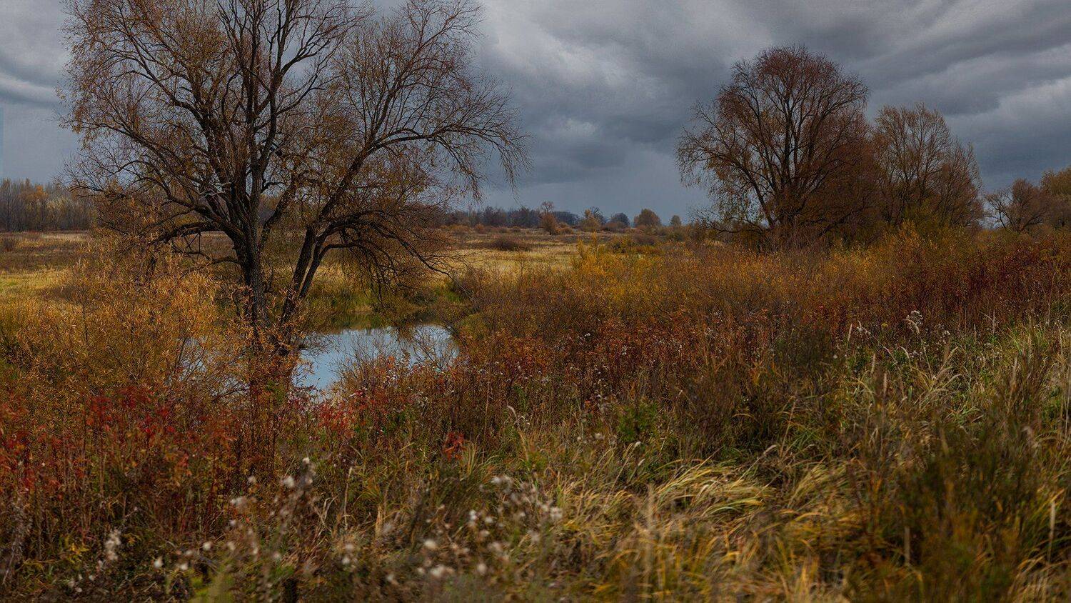 , Марат Кучкаев