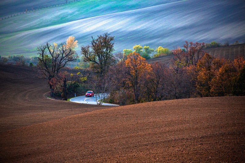 ~ S ~ фото превью