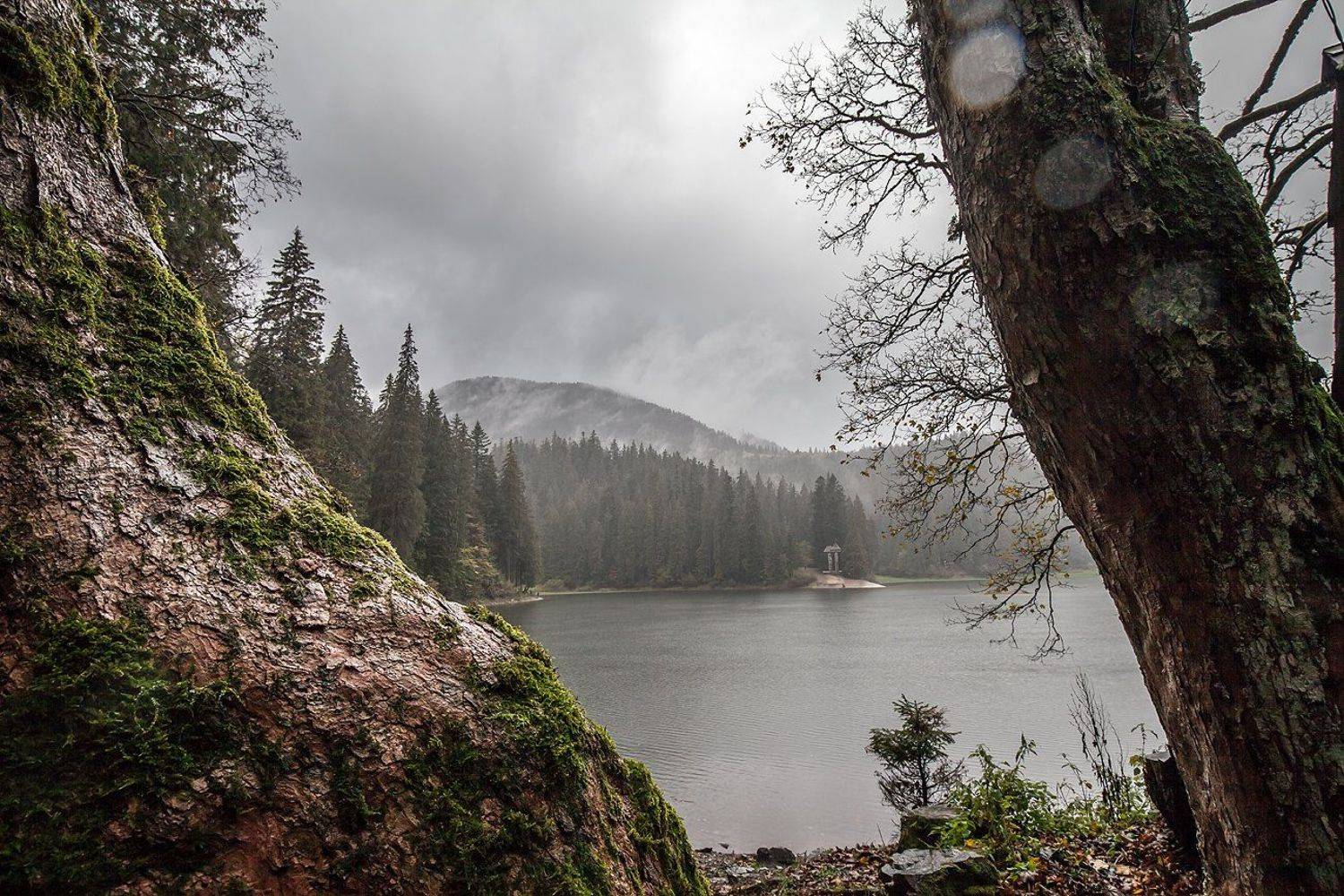 Озеро Синевир, Карпаты,  Carpathian,  Carpathian Mountains, Synevyr lake, Андрей