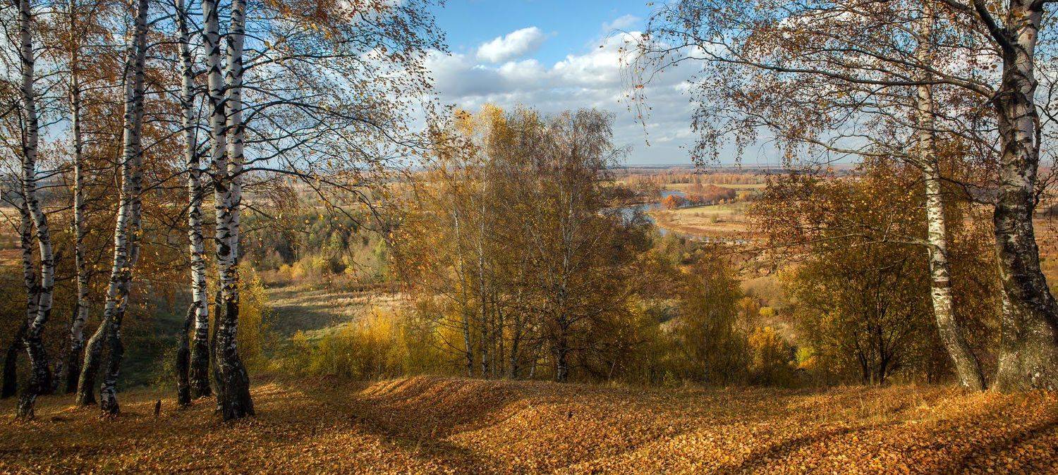 осень октябрь венец быковка текмаш, Дмитрий Алексеев