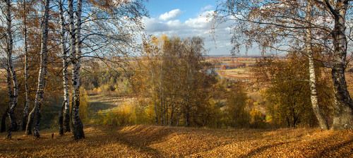 Погожий денек