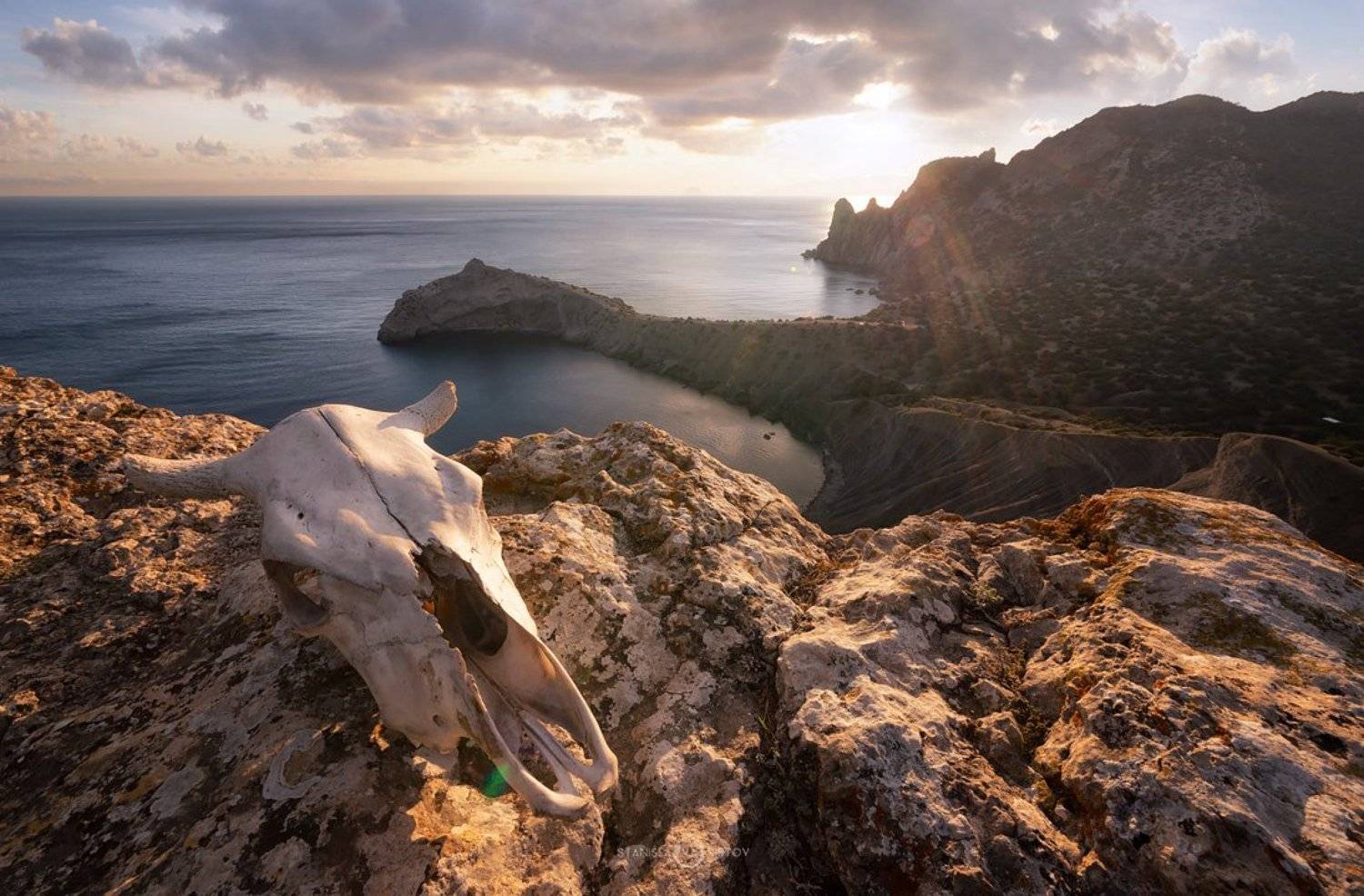 , Станислав Аристов