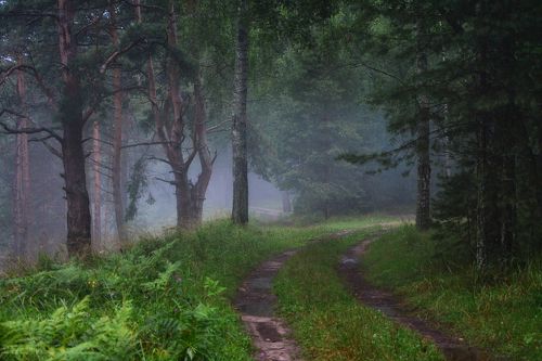 В стране туманов-2