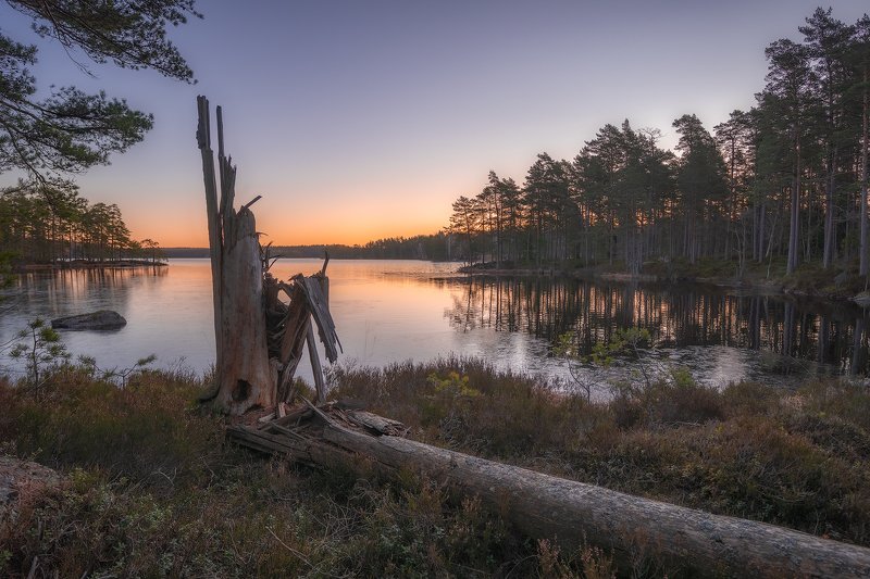 beforesunrise, blueberrybushes, fallentree, fir, firtree, heather, lake, laxå, ling, lingonberrybushes, marshland, morning, morningglow, moss, nordiclight, oerebrolän, outdoors, Pine, pinewood, Scandinavia, sunrise, Sweden, tiveden, tivedennationalpark, t Broken фото превью