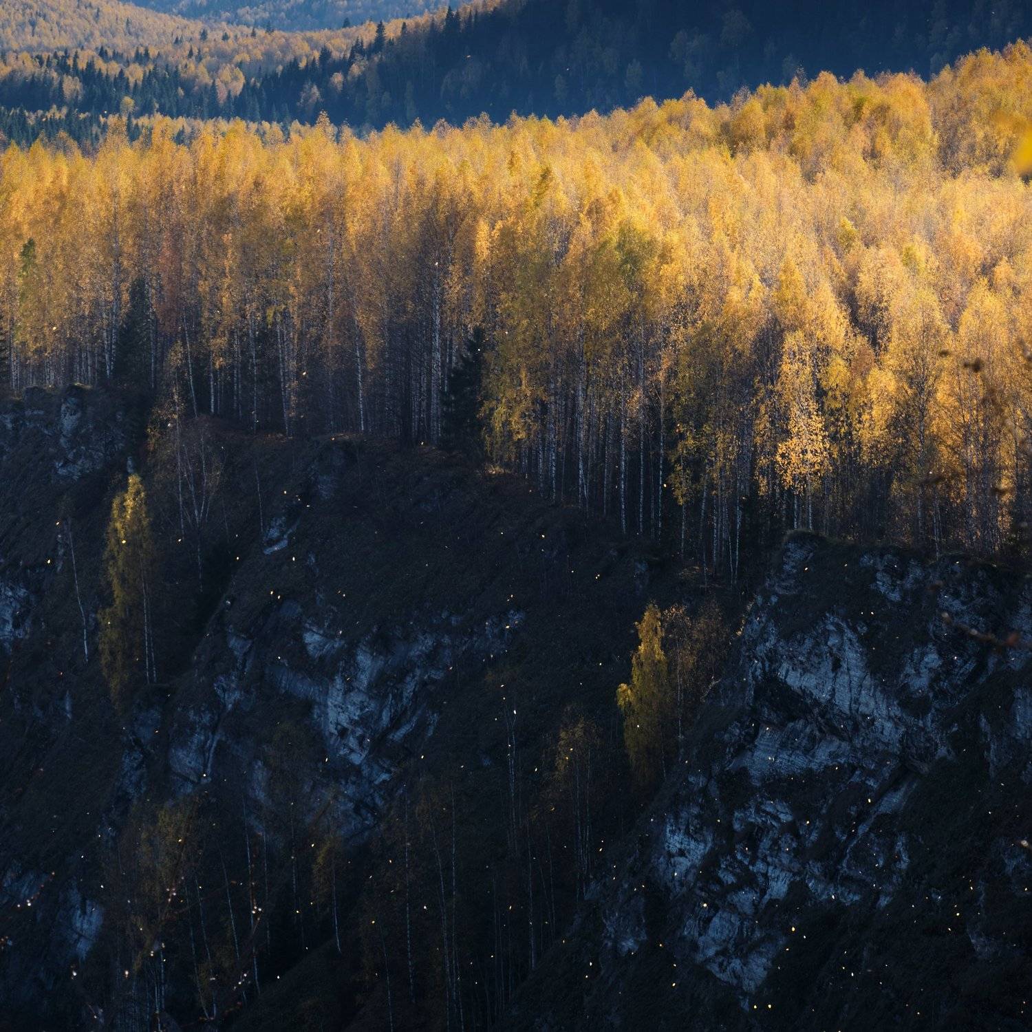 осень, листопад, березы, скалы, Савицкий Ян