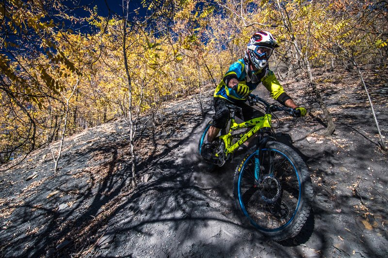 Золото Осени фото превью