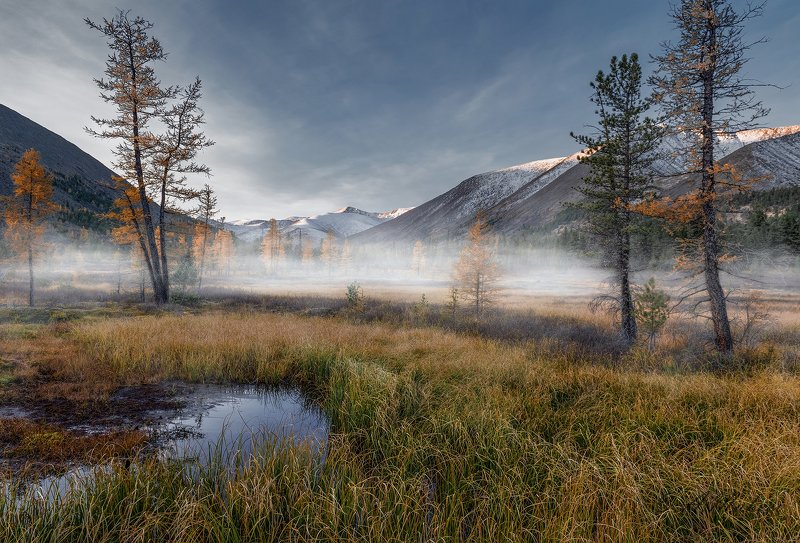 сибирь, хакасия, горная хакасия, заказник позарым, пейзаж Горная Хакасия фото превью
