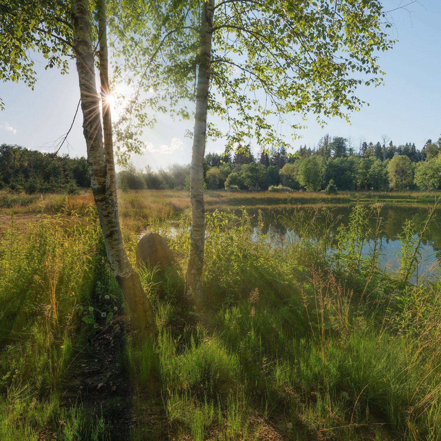 , Борис Леваков