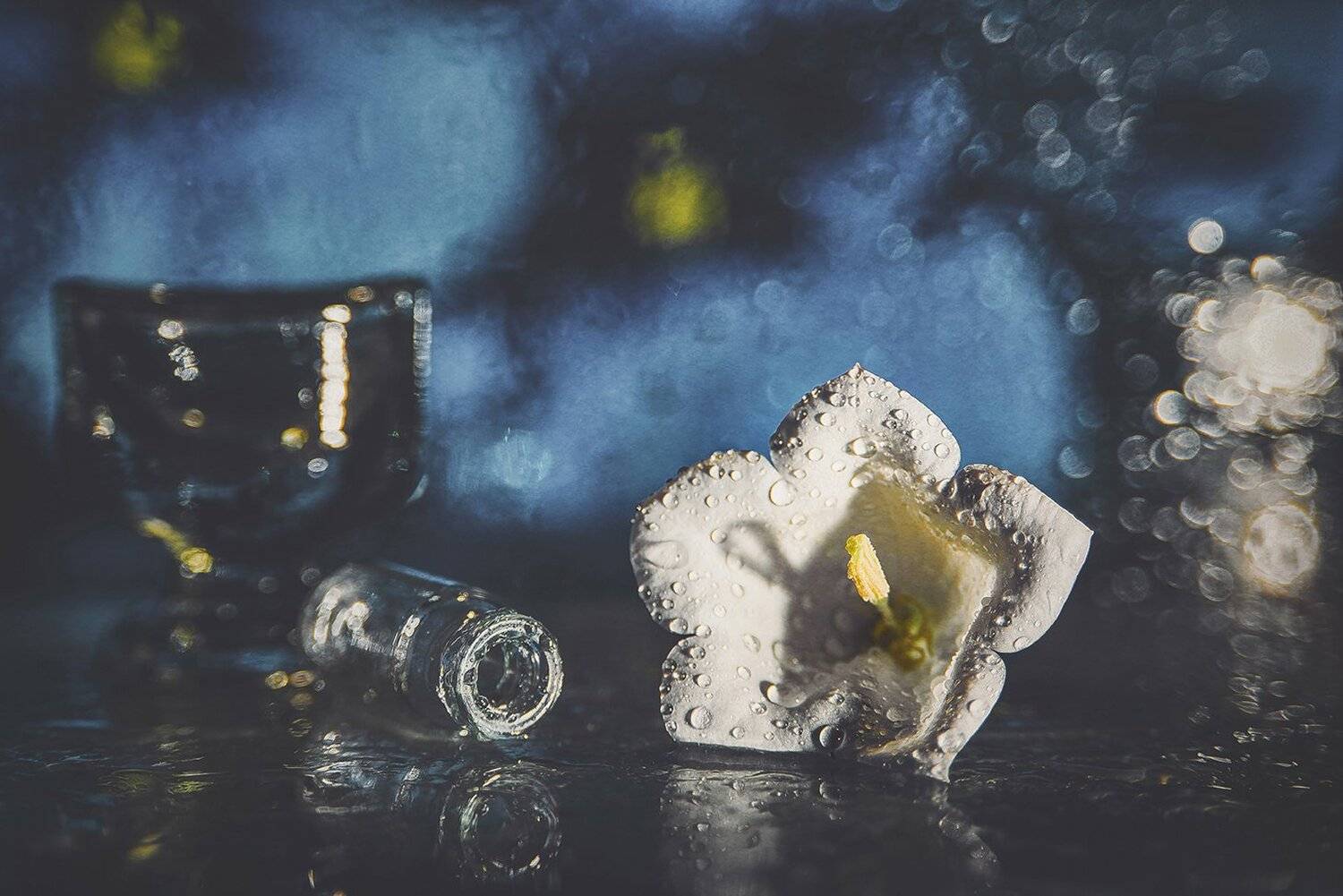 , MVO (Марк Орлов)