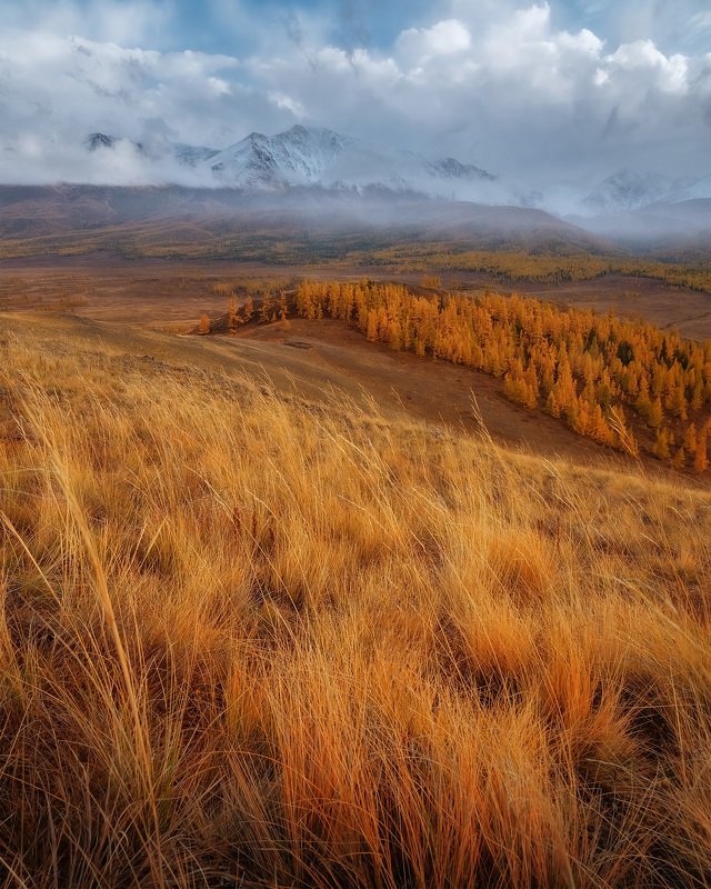 Алтай фото превью
