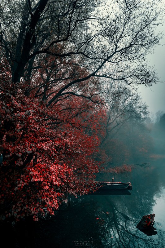 red фото превью
