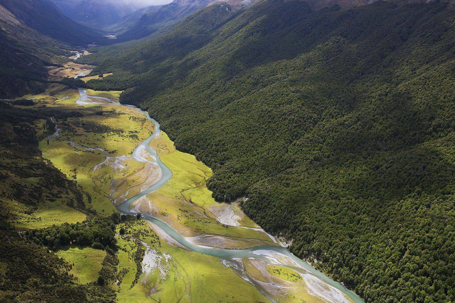 NZ, Сергей Майбаум