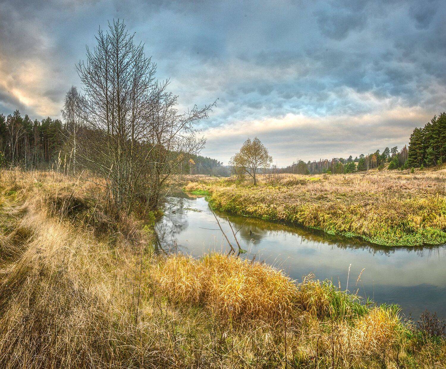 , Николай Андреев