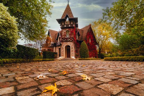 Осень в Ореховно. Псковская область.