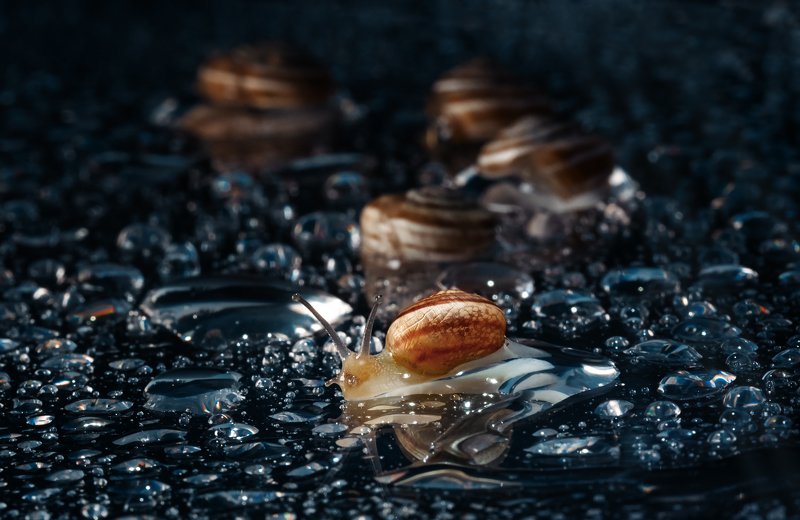 Goodbye family фото превью