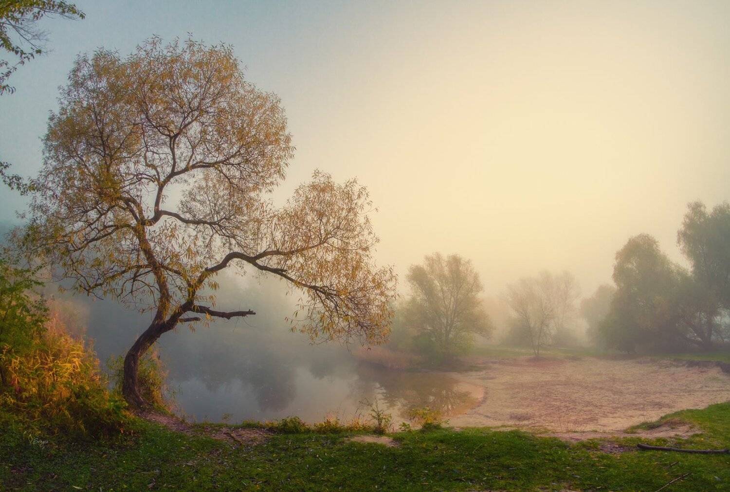 Беларусь, Серж Домбровский