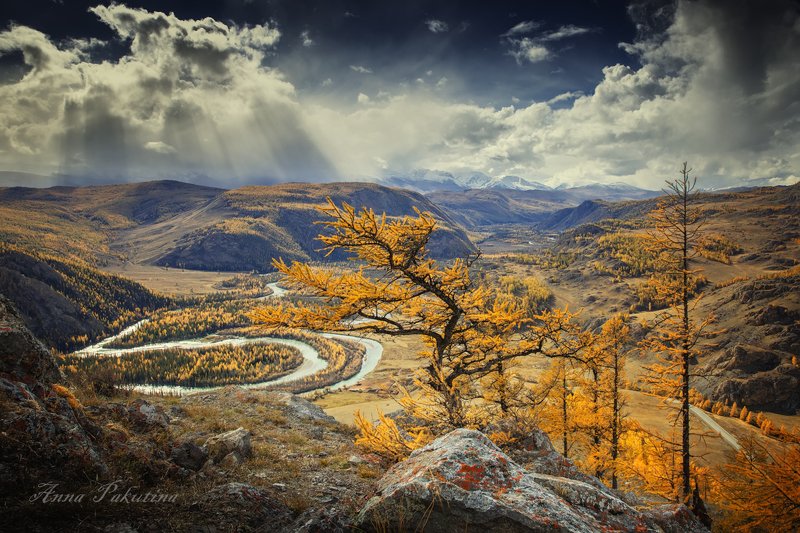 алтай, пейзаж, осень, altai, allay Алтайская симфония фото превью