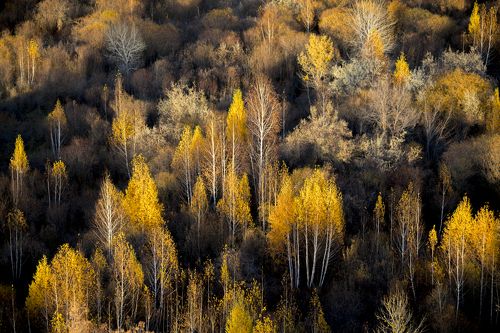 Осень в Прибалхашье