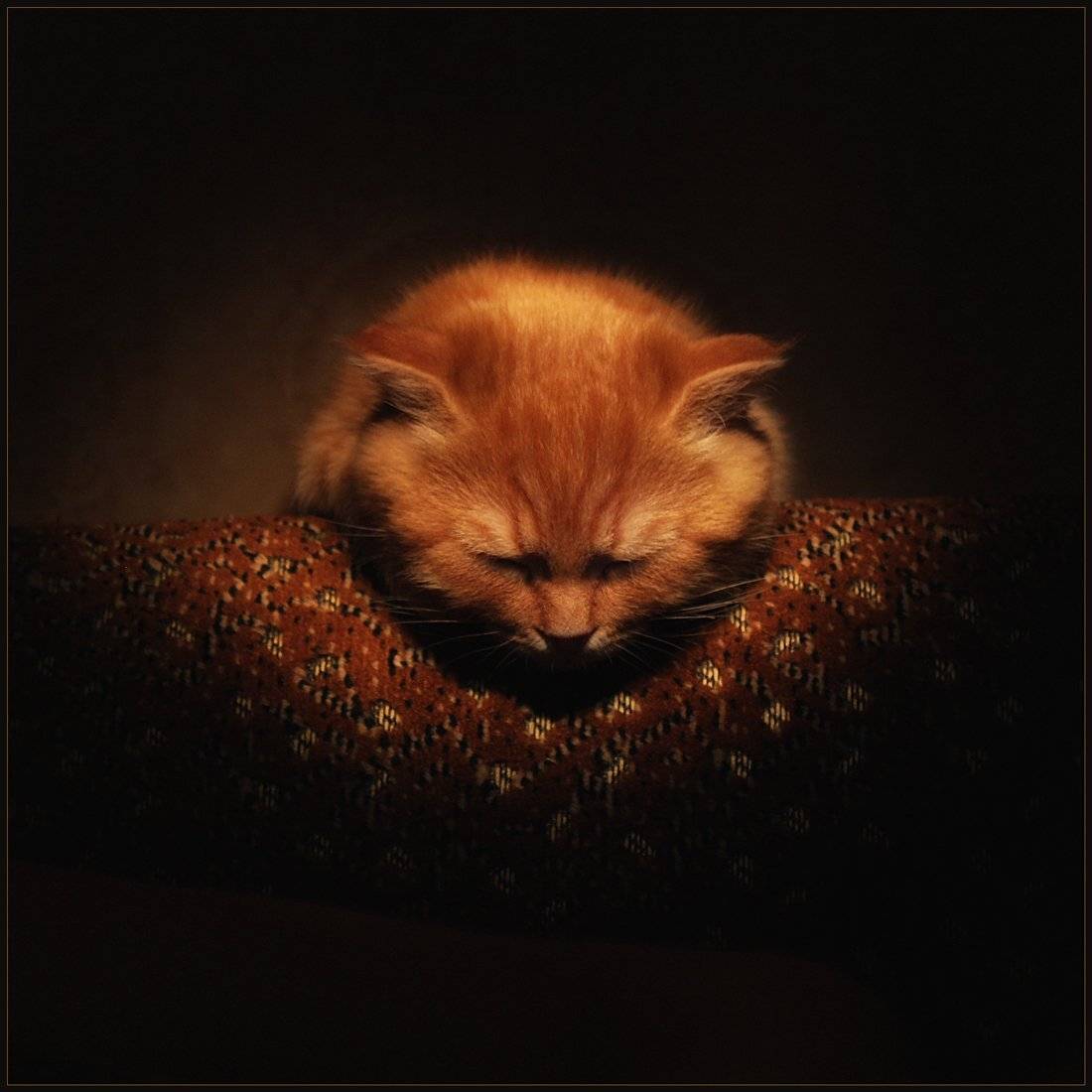 , Александр Хромеев