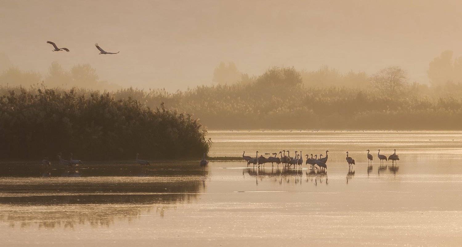 , Григорий Крамаренко
