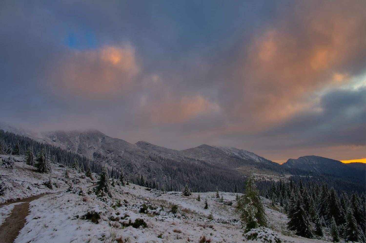 #nature, #туман, #лес, #oсень, #украина, #карпаты, #пейзаж, #закат, #туман, #солнце, #свет, #mountain range, #mountains, #туризм, #лес, #nature, #природа,, Леонид Морозов