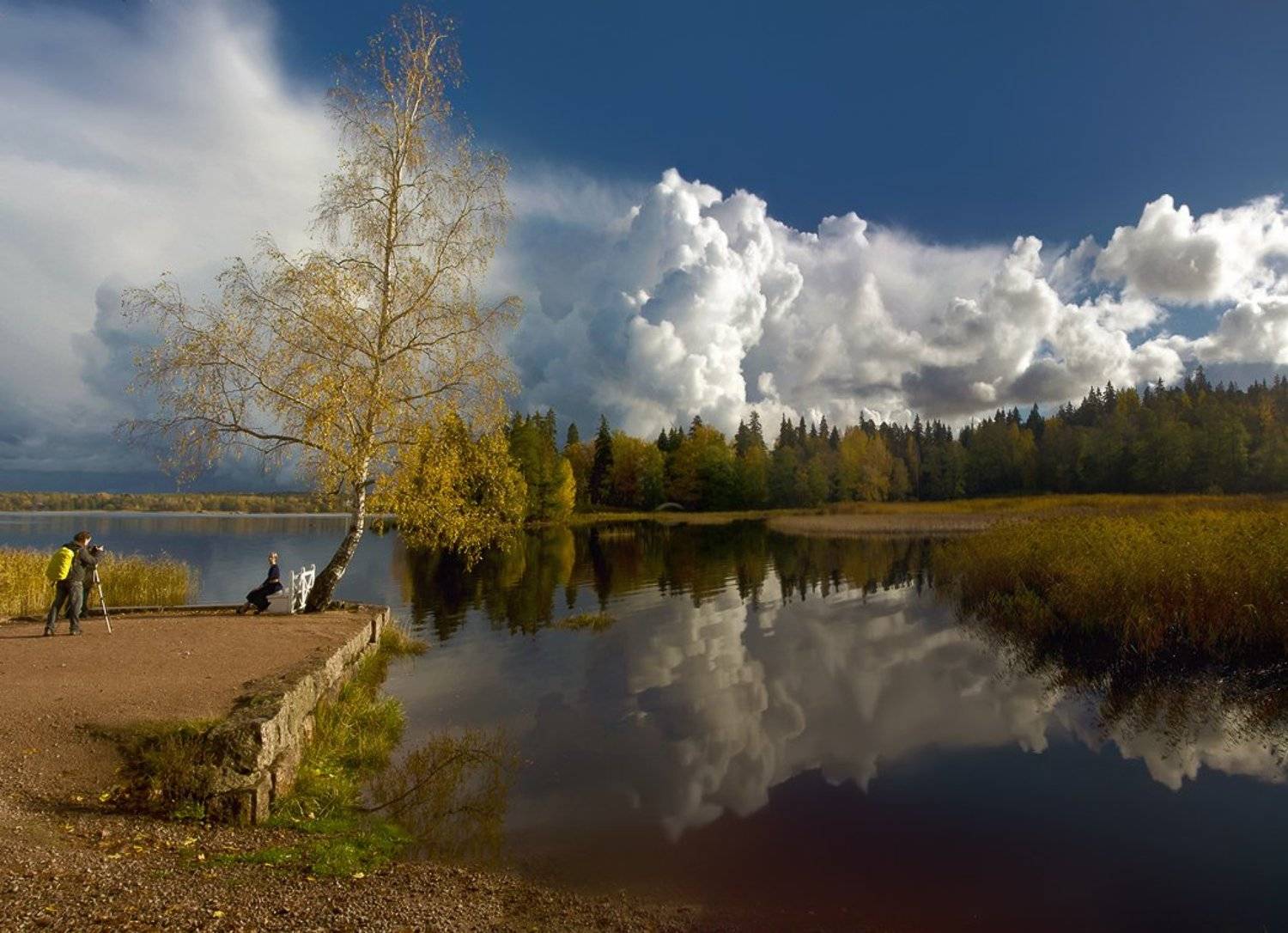 выборг, монрепо, паркмонрепо, пейзаж, landscape, tsarskoyeselo, autumn, Таня SHE (Aiya)