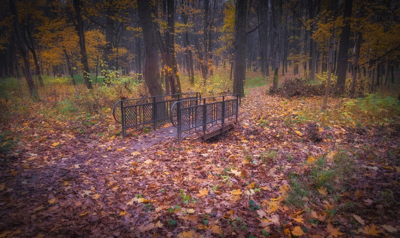 Парк. 31 октября. фото превью