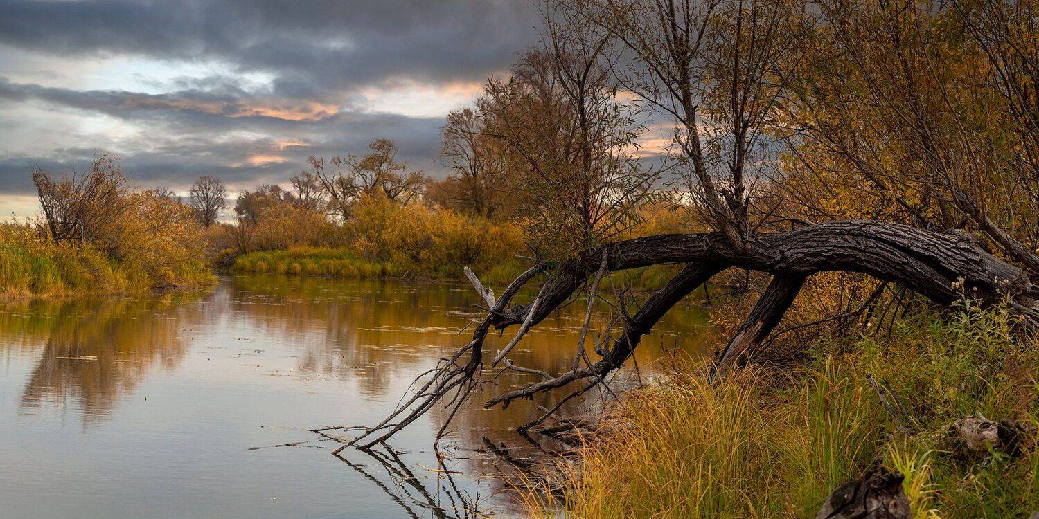 , Марат Кучкаев