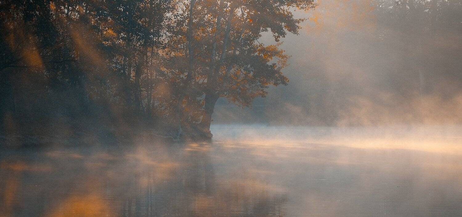 , Robert Adamec