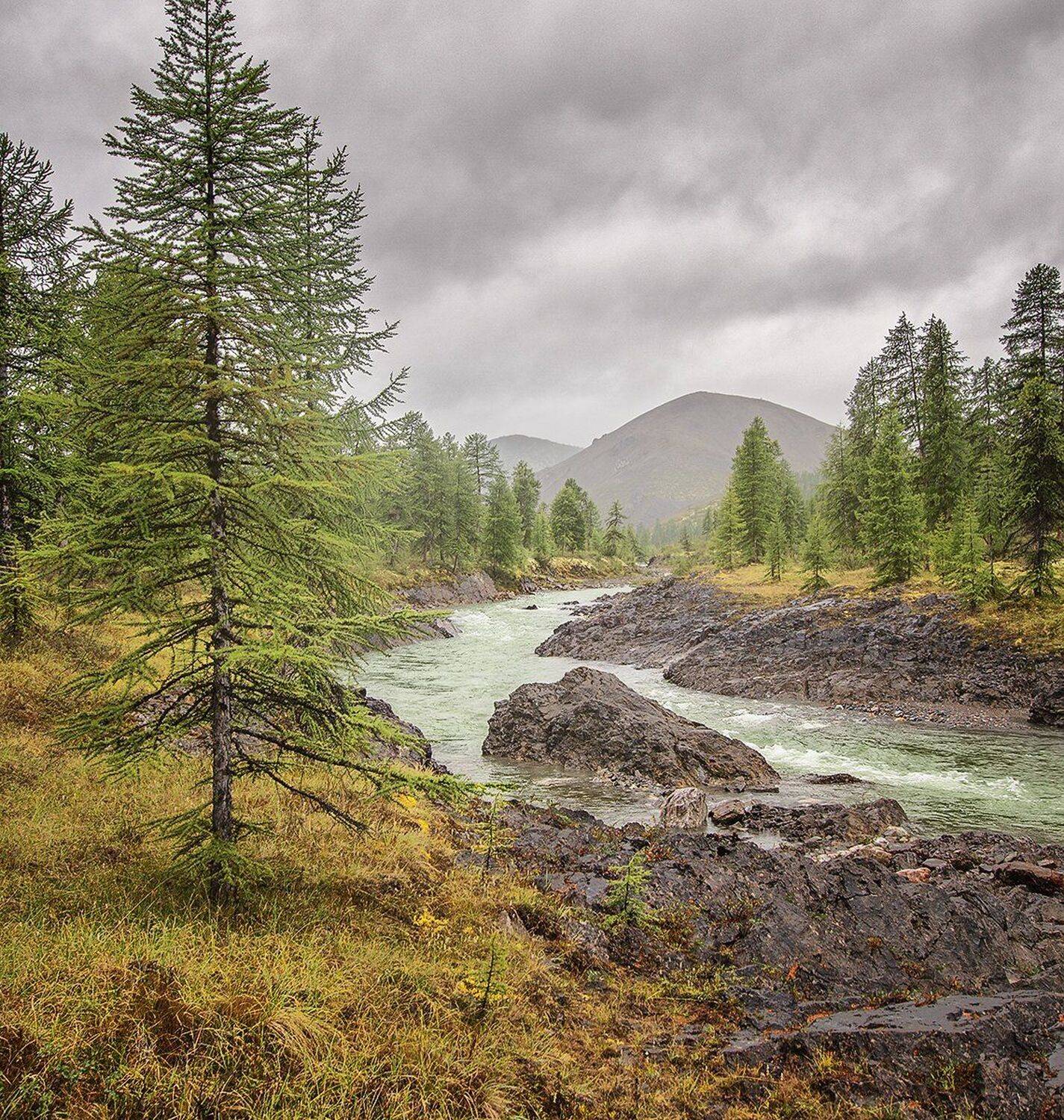 , Николай Андреев