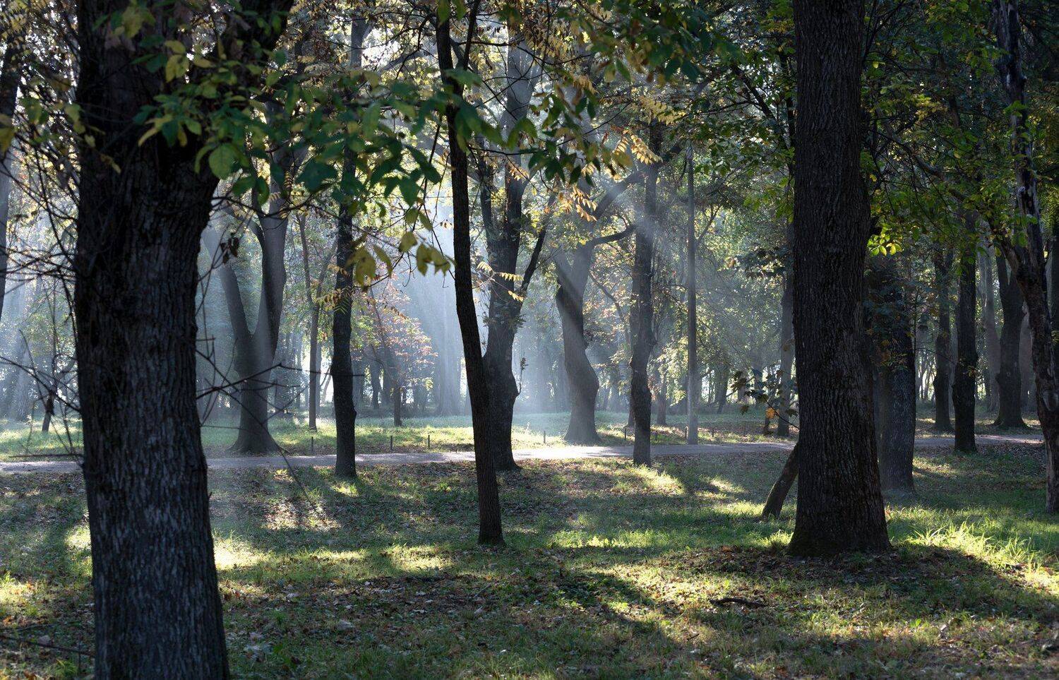 , Алексей Рыльский