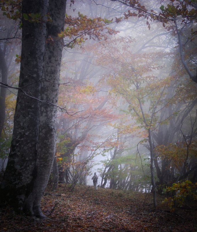 *** фото превью