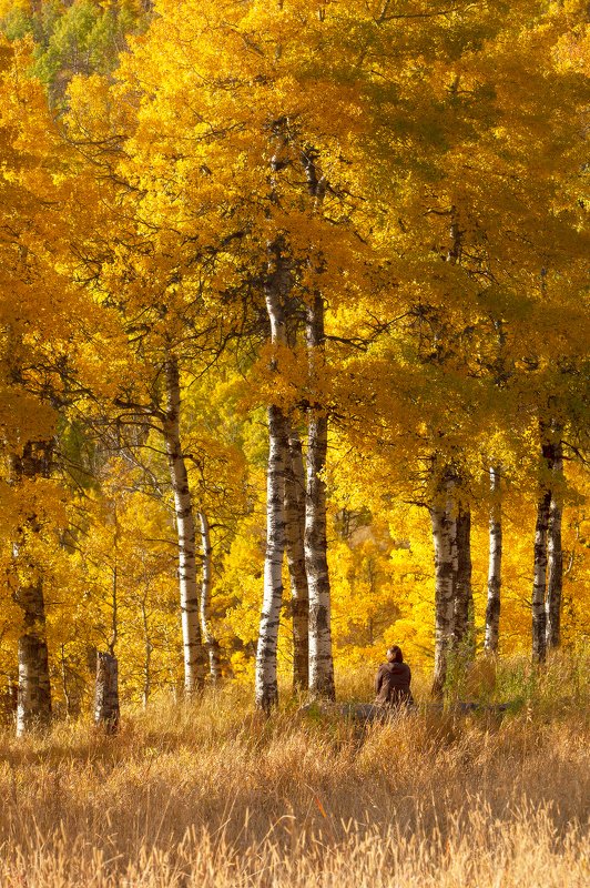осень ЯНТАРНОЕ НАСТРОЕНИЕ фото превью