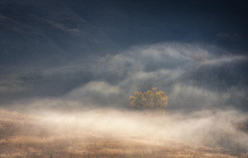 Солнечный ветер. фото превью